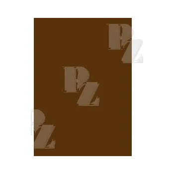 Karton Karton 50x70 oboustranný 300 g/m2 hnědý, Herlitz