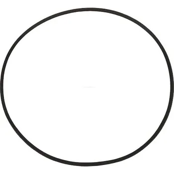 Autoelektrika Těsnící O-kroužek AS-PL ARS3004