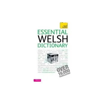 Cizojazyčná kniha Essential Welsh Dictionary: Teach Yourself - Lewis, Edwin