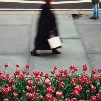 Zahraniční hudba CD Air Waves: The Dance 2022