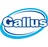 Gallus