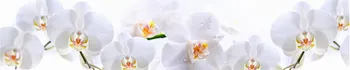 Obklad Grace Kuchyňský panel ABS plast Sněhově bílá orchidej 300 x 60 cm
