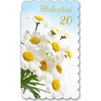 Gratulace k narozeninám 20. výročí pro ženy - T mix druhů s textem MFP