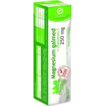 Galmed Magnesium 250 mg 20 tbl.