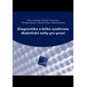 Učebnice Diagnostika a léčba syndromu diabetické nohy pro praxi (CD-ROM) - Anna Schneider