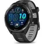 Garmin Forerunner 965 Black/Powder Gray