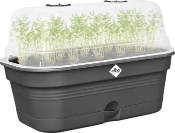 Minipařeniště Elho Green Basics Growpot Tray All-in-1 39 x 23 x 25,7 cm