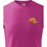 Dětské tričko Dinosaurus v kapse, Barva Purpurová, Velikost 158 cm/12 roků, Canvas Dětské tričko Bezvatriko.cz 1779