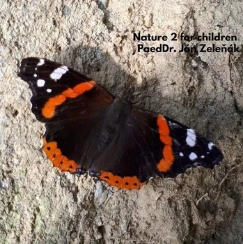 Kniha Nature for children, part 2 - Ján Zeleňák (E-Kniha)