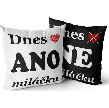 Dekorativní polštářek Polštář 40 x 40 cm - Dnes Ano/Ne