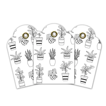 Jmenovky Canli Pokojovky (6 ks)