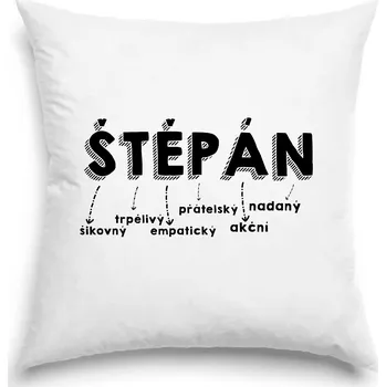 Polštář polštář Polštář - Štěpán 40 x 40 cm