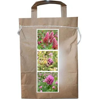 Travní směs Nektarodárná směs pro včely vytrvalátá letní 1 kg