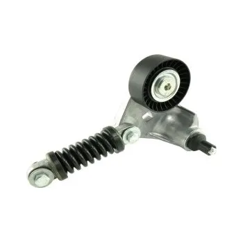 Motor automobilu Napínací kladka, ozubený řemen, , 036109243AB, 036109243AD, 036109243AF, 036109243E, 036109243L, 036109243R, MEYLE, 151 902 1006