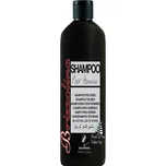 Brizzolina Shampoo For Men - šampon pro muže na vlasy a vousy 1000 ml