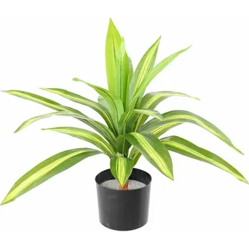 umělá květina Umělá palma Dracena, 55cm