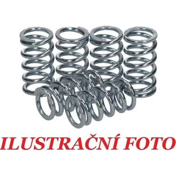 Spojka Pružiny spojky sada TRW Lucas MEF110-6 KAWASAKI ER650N rok 06-16