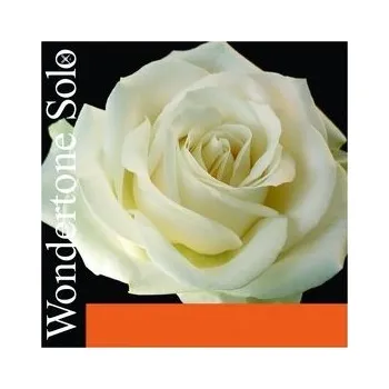 Smyčcový nástroj Pirastro Wondertone Solo 410321 - struna D