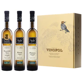 Dárkový potravinový koš Vánoční dárek pro NI (sladký výběr)