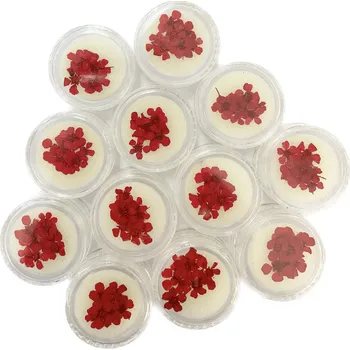 Přípravek na nehty 3D suché květiny Světle červená Nail Art 12ks