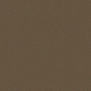 KOŽENKA 994 hnědá