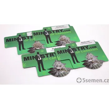 Hnojivo Big Bud XXL fem. (balení 10+2)