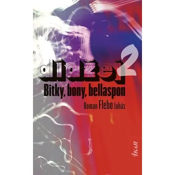 Kniha Dídžej 2 - Roman Flebo Juhás (E-Kniha)