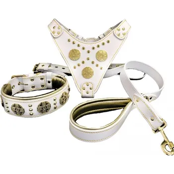 Obojek pro psa Postroj - Obojek - vodítko SET Bestia Collars "Maximus" bílý Velikost: L