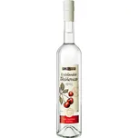 Rudolf Jelínek Kostelanská třešnovice 0,7l 42%
