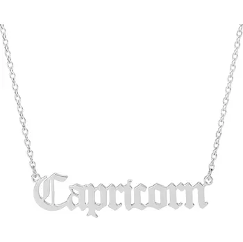 Náhrdelník Dámský náhrdelník z chirurgické oceli ASTROLOGY Znamení: Kozoroh (Capricorn)