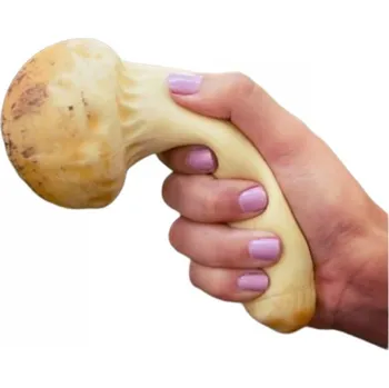 Žertovný předmět Antistresový hřib - Čirůvka větší