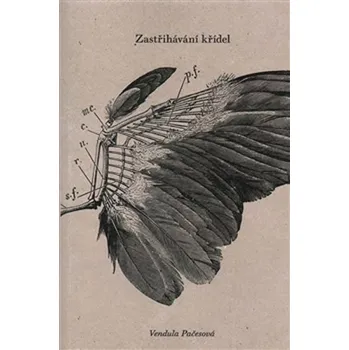 Zastřihávání křídel