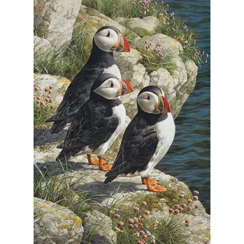 Puzzle Puzzle Cobble Hill Papuchalkové, 500 dílků