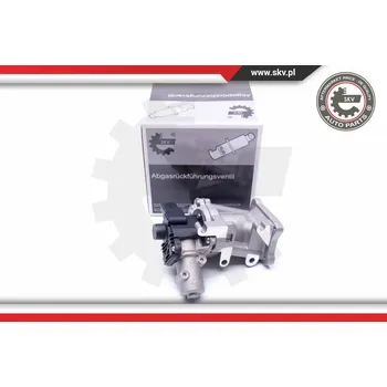 Ventil palivového systému SKV AGR-Ventil 14SKV171