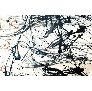 jackson pollock - Zbozi.cz