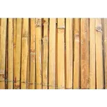 Strend Pro Stínící bambus