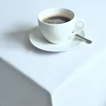 Ubrusy Gastro Atena – bílé Kruh 150