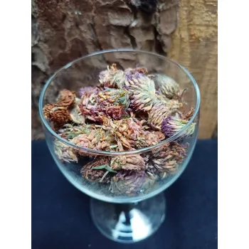 Čaj Jetel červený květ - Bylinky (Trifolii rubri flos)