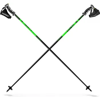 Sjezdová hůlka Hůlky Lusti Performance Green - 115cm