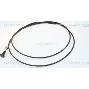 Karburátor Hřídel vzduchové klapky, karburátor TRISCAN 8140 91003