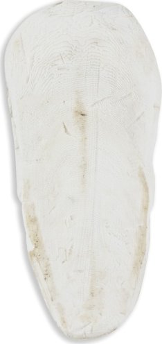 Akinu Sépiová kost VOLNĚ (1kg) 15 - 20 cm
