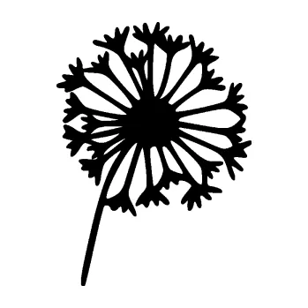 Samolepící dekorace SAMOLEPKA Pampeliška 002 pravá odkvetlá (01 - černá) NA AUTO, NÁLEPKA, FÓLIE, POLEP, TUNING, VLASTNÍ TEXT, TISK, AUTOSAMOLEPKY.cz, POLEPY, OBRÁZEK, LOGO, SAMOLEPKY