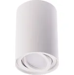 T-LED Přisazené svítidlo BORD XS bílé Varianta: Přisazené svítidlo BORD XS DLP-50-W bílé