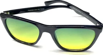 COYOTE Brýle VISION POLARIZED FASHION 209 černé/zelená skla