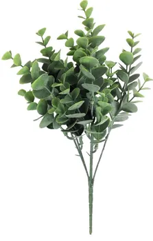 Umělá květina Autronic Eukalyptus puget 31 cm zelený