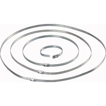 Stahovací páska TRU COMPONENTS 1570838, stahovací pásky, 4.60 mm, 201 mm, stříbrná, 10 ks