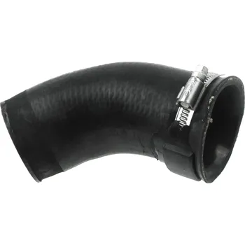 Hadička plnicího vzduchu RAPRO R25371