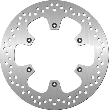 Brzdový kotouč Brzdový kotouč NG 1909