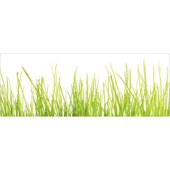 Obklad Koupelnová zádní stěna mySPOTTI aqua Gras 120x45 cm