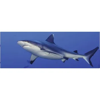 Obklad Koupelnová zádní stěna mySPOTTI aqua Hai 120x45 cm